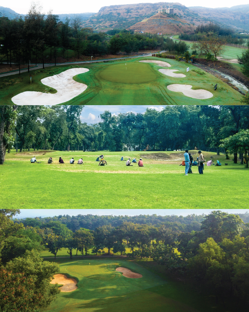 Golf course architecture and development process