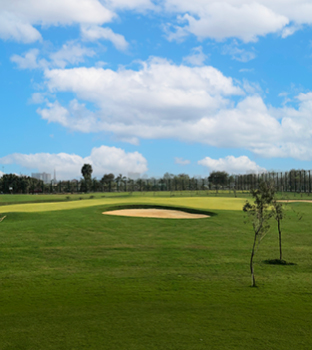 Golf Arena