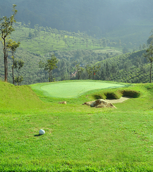 Plantations Course